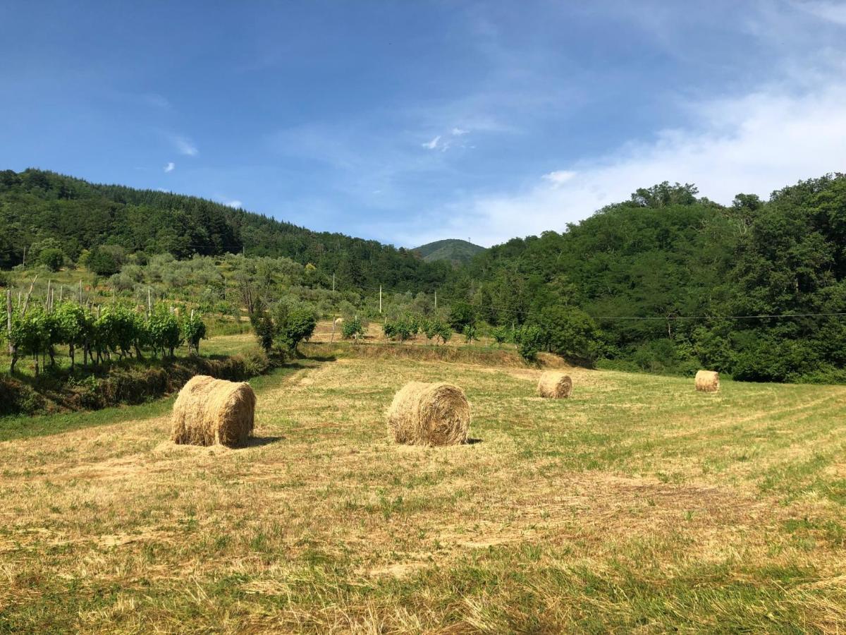 Апартаменты Lunigiana Experience Понтремоли Экстерьер фото